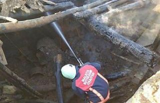 Ahır yangınında bir hayvan telef oldu