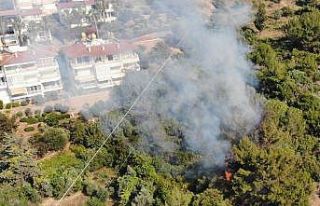 Alanya Kalesi’ndeki orman yangını korkuttu