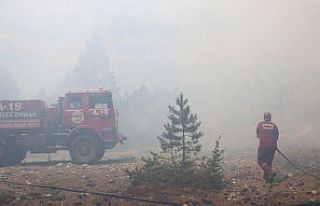 Alanya’da orman yangını kontrol altına alındı