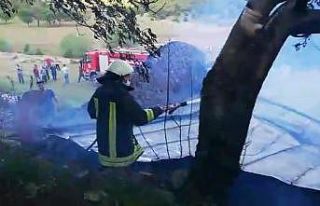 Amasya’da samanlık yandı, 10 ton saman kül oldu