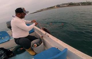 Amatör balıkçı, ağa takılan Caretta Caretta’yı...
