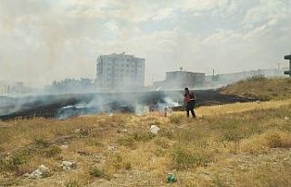Anız yangını korkuttu