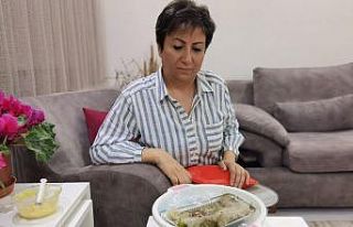 Annesi ölen kırlangıç yavrularına sahip çıktı