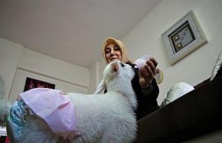 Annesinin reddettiği kuzuya, sağlıkçı şefkati