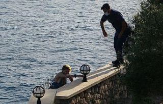 Antalya falezlerde örümcek trans birey alarmı