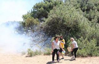 Antalya’da çıkan üç yangın da kontrol altına...
