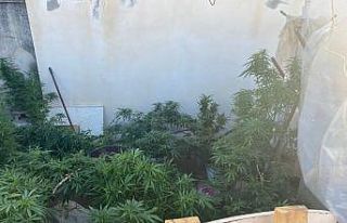 Antalya’da eş zamanlı uyuşturucu operasyonu:...