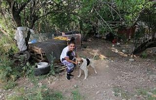 Antalya’da ölüme terk edilen köpeklere mahalleli...