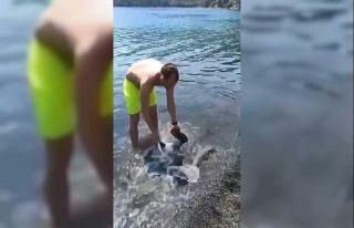 Antalya’da turistlerin yarım metrelik balon balığı...