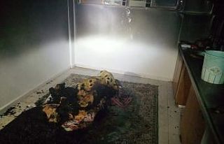 Apartmanda çıkan yangın paniğe sebep oldu
