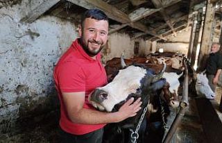 Araba fiyatına kurbanlıklar satışta