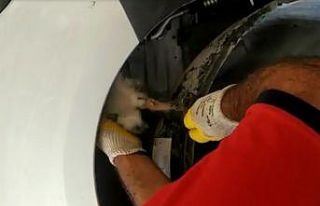 Aracın kaporta bölümüne sıkışan minik kediyi...