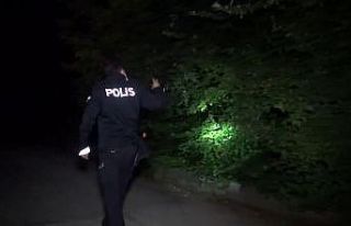 Aranan ayı ailesi bulundu...