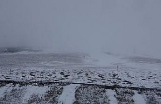 Ardahan’da Mayıs’ta kar sürprizi