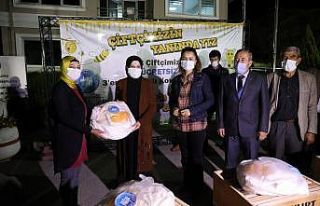 Arılı kovanlar sahiplerini buldu