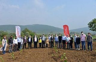’Aronya’ bitkisi üretimi yaygınlaştırılacak