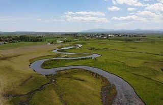 Arpaçay Menderesleri görsel şölen sunuyor