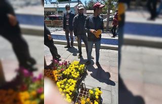 Arpaçay’da peyzaj çalışmaları başlatıldı