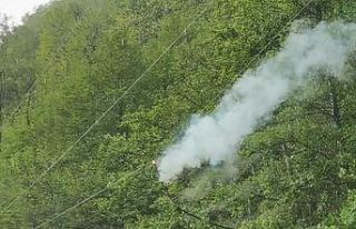 Artvin’de şiddetli rüzgar ağaçları devirdi