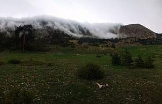 Artvin’in yayalarında oluşan sis bulutları görsel...