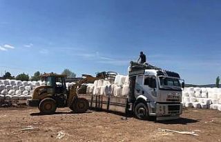 Aslanapa’da 81 ile silajlık mısır satışları...