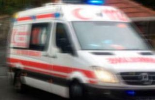 Asma yaprağı topladığı sırada düştüğü iddia...