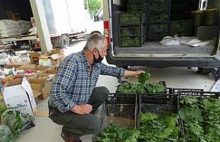 Asma yaprağına talep arttı