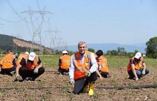 Ata Tohumları toprakla buluşturuldu