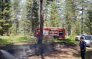 Atılan sigara izmariti ormanı alev topuna çevirmeden...