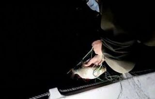 Av yasağı olan gölde 1 kilometrelik ağ ele geçirildi