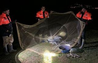 Avlanma yasağında 2 bin 500 inci kefali ele geçirildi