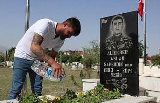 Avusturya’dan geldi, şehit mezarlarını temizleyip...