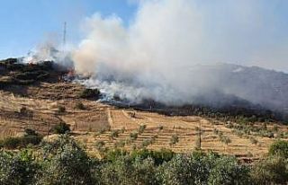 Aydın’da makilik ve tarım arazisi yangını