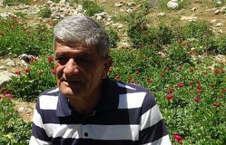 ’Ayı Gülü’ çiçeğini koparana 80 bin 465...