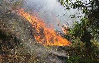 Aytepe’de korkutan yangın kontrol altına alındı