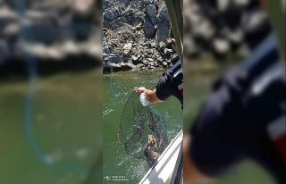 Ayvacık’ta su ürünleri denetimleri