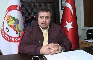 Ayvalık’ta Cumartesi günü tüm pazaryerleri açık