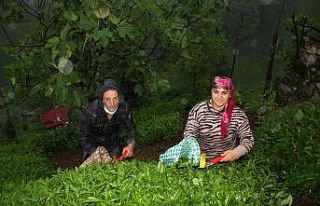 Azerbaycanlı gelin bir yılın sonunda Rizeli eşine...