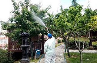 Bağcılar’da maymuncuk operasyonu