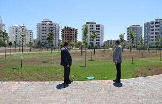 Bağlar Belediyesi atıl durumdaki araziyi parka çevirdi