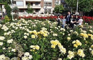 Bağlar’da vatandaş huzuru gül parkında buluyor
