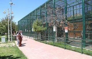 Baharla şenlenen hayvanat bahçesi ziyaretçilerini...