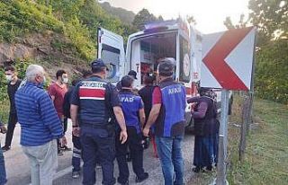 Bahçesindeki otları temizlerken 25 metreden uçuruma...