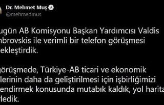 Bakan Muş, AB Komisyonu Başkan Yardımcısı Dombrovskis...