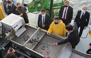 Bakan Pakdemirli Marmara Denizi’nde midye hasat...
