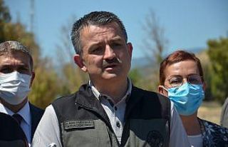 Bakan Pakdemirli: "Tarım işçilerimiz kademeli...