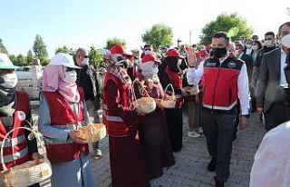 Bakan Pakdemirli, Yayladağı’nda çilek hasadına...