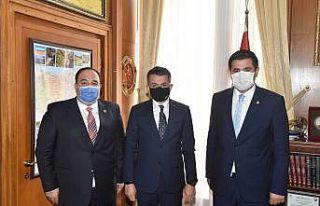 Bakan Pakdemir’ye "Viranşehir" sunumu