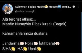 Bakan Soylu: “Altı terörist etkisiz"