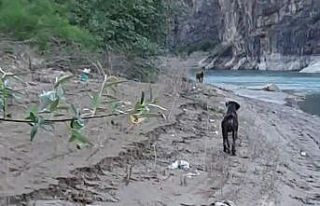 Balık tutmak için indiği baraj gölü kıyısında...